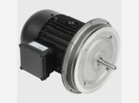 Двигатель для горелки Weishaupt W-D112/170-2/7K0, 21841507010